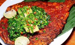 സൂപ്പർ ഹിറ്റായി തീരമൈത്രി ഭക്ഷണശാലകൾ; വിറ്റുവരവ് നാലര കോടി പിന്നിട്ടു സൂപ്പർ ഹിറ്റായി തീരമൈത്രി ഭക്ഷണശാലകൾ; വിറ്റുവരവ് നാലര കോടി പിന്നിട്ടു