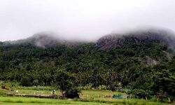 കടുവകളുടെ എണ്ണം എടുക്കാന്‍ പോയ ഫോറസ്റ്റ് ഉദ്യോഗസ്ഥരെ കണ്ടെത്തി