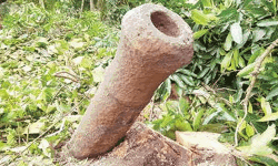 ചിറവക്കില്‍ കണ്ടെത്തിയ പീരങ്കിയുടെ കുഴല്‍ പഴശിരാജ മ്യൂസിയത്തിലേക്ക് കൊണ്ടുപോയി