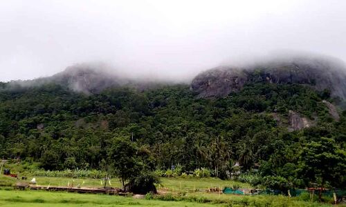 കടുവകളുടെ എണ്ണം എടുക്കാന് പോയ ഫോറസ്റ്റ് ഉദ്യോഗസ്ഥരെ കണ്ടെത്തി കടുവകളുടെ എണ്ണം എടുക്കാന് പോയ ഫോറസ്റ്റ് ഉദ്യോഗസ്ഥരെ കണ്ടെത്തി