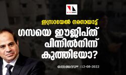ഇസ്രായേല്‍ നരനായാട്ട്: ഗസയെ ഈജിപ്ത് പിന്നില്‍നിന്ന് കുത്തിയോ?