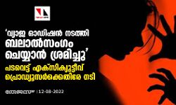 വ്യാജ ഓഡിഷന്‍ നടത്തി ബലാല്‍സംഗം ചെയ്യാന്‍ ശ്രമിച്ചു: പടവെട്ട് എക്‌സിക്യുട്ടീവ് പ്രൊഡ്യൂസര്‍ക്കെതിരേ നടി
