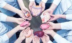 അവയവദാന രംഗത്ത് വലിയ മാറ്റമുണ്ടാക്കാന്‍ ശ്രമം: സമഗ്ര പ്രോട്ടോകോള്‍ രൂപീകരിക്കും