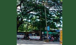 เดคเดเดฐเตโเดจเตเดจเตเดตเตเดดเดพเดฑเดพเดฏ เดนเตเดฎเดพเดธเตเดฑเตเดฑเต เดฒเตเดฑเตเดฑเต เดฎเดพเดฑเตเดฑเดพเดจเตโ เดคเดฏเตเดฏเดพเดฑเดพเดเตเดจเตเดจเดฟเดฒเตเดฒเตเดจเตเดจเต เดชเดฐเดพเดคเดฟ เดคเดเดฐเตโเดจเตเดจเตเดตเตเดดเดพเดฑเดพเดฏ เดนเตเดฎเดพเดธเตเดฑเตเดฑเต เดฒเตเดฑเตเดฑเต เดฎเดพเดฑเตเดฑเดพเดจเตโ เดคเดฏเตเดฏเดพเดฑเดพเดเตเดจเตเดจเดฟเดฒเตเดฒเตเดจเตเดจเต เดชเดฐเดพเดคเดฟ