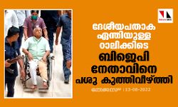 ദേശീയ പതാകയേന്തിയുള്ള റാലിക്കിടെ ബിജെപി നേതാവിനെ പശു കുത്തിവീഴ്ത്തി