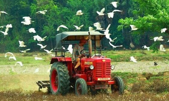 പ്രാദേശിക ഉത്പന്നങ്ങള് പ്രോത്സാഹിപ്പിക്കാന് നാട്ടുപീടിക കണ്ടെയ്നറുമായി കൃഷി വകുപ്പ് പ്രാദേശിക ഉത്പന്നങ്ങള് പ്രോത്സാഹിപ്പിക്കാന് നാട്ടുപീടിക കണ്ടെയ്നറുമായി കൃഷി വകുപ്പ്