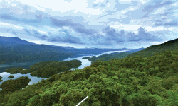 ബഫര്‍ സോണ്‍; വിദഗ്ധസമിതി റിപോര്‍ട്ട് ബുധനാഴ്ച