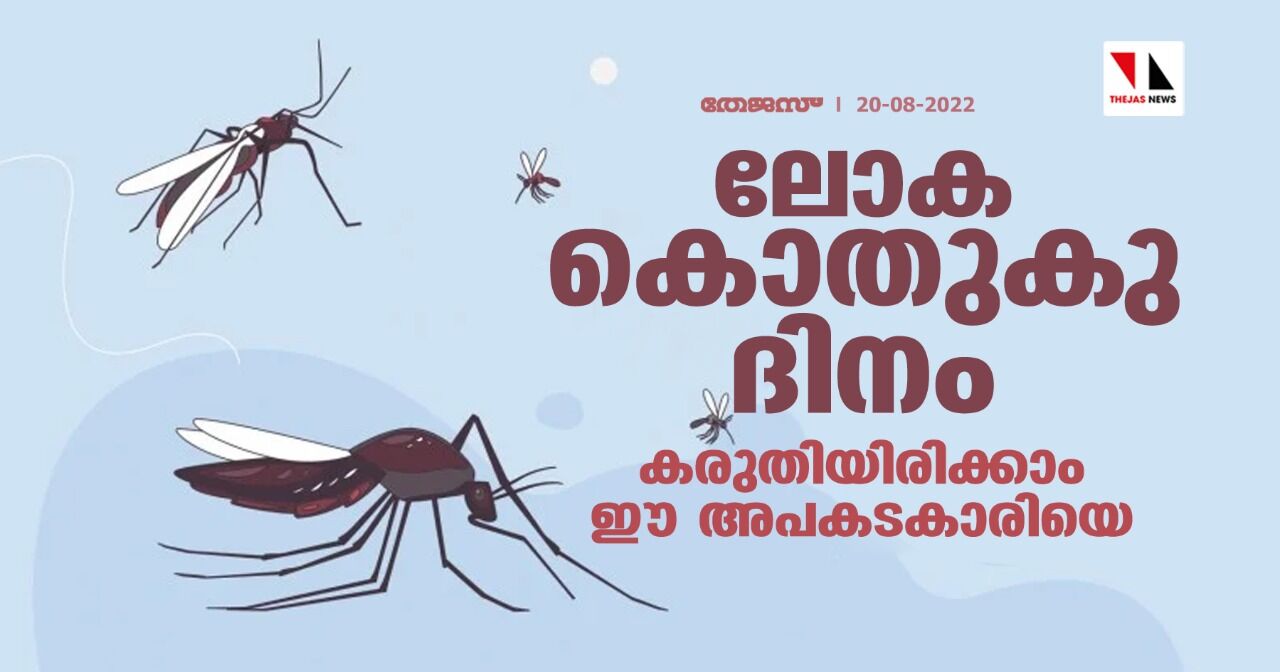 ലോക കൊതുകു ദിനം;കരുതിയിരിക്കാം ഈ അപകടകാരിയെ