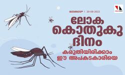 ലോക കൊതുകു ദിനം;കരുതിയിരിക്കാം ഈ അപകടകാരിയെ
