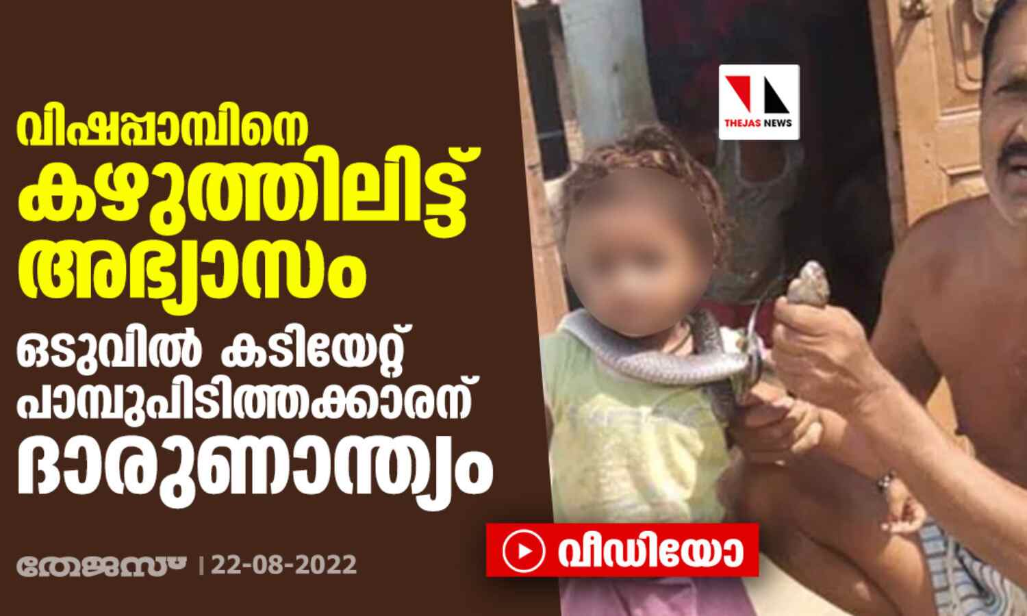 വിഷപ്പാമ്പിനെ കഴുത്തിലിട്ട് അഭ്യാസം; ഒടുവില് കടിയേറ്റ് പാമ്പുപിടിത്തക്കാരന് ദാരുണാന്ത്യം (വീഡിയോ) വിഷപ്പാമ്പിനെ കഴുത്തിലിട്ട് അഭ്യാസം; ഒടുവില് കടിയേറ്റ് പാമ്പുപിടിത്തക്കാരന് ദാരുണാന്ത്യം (വീഡിയോ)