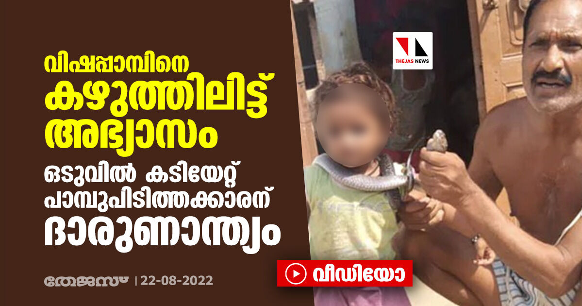 വിഷപ്പാമ്പിനെ കഴുത്തിലിട്ട് അഭ്യാസം; ഒടുവില്‍ കടിയേറ്റ് പാമ്പുപിടിത്തക്കാരന് ദാരുണാന്ത്യം (വീഡിയോ)