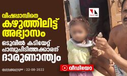 വിഷപ്പാമ്പിനെ കഴുത്തിലിട്ട് അഭ്യാസം; ഒടുവില്‍ കടിയേറ്റ് പാമ്പുപിടിത്തക്കാരന് ദാരുണാന്ത്യം (വീഡിയോ)