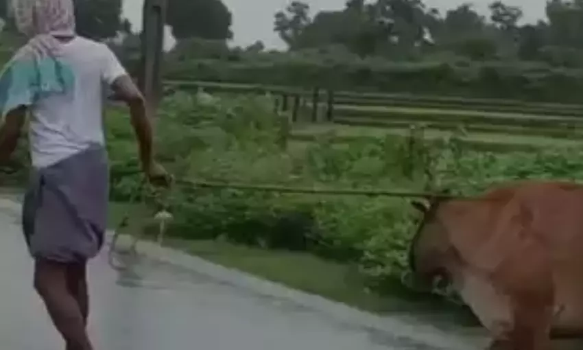 പശുവിനെ പ്രകൃതി വിരുദ്ധ പീഡനത്തിനിരയാക്കി; വിരമിച്ച സര്‍ക്കാര്‍ ഉദ്യോഗസ്ഥന്‍ അറസ്റ്റില്‍