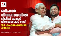 ബീഹാര് നിയമസഭയില് നിതീഷ് കുമാര് വിശ്വാസവോട്ട് നേടി; 163 എംഎല്എമാരുടെ പിന്തുണ ബീഹാര് നിയമസഭയില് നിതീഷ് കുമാര് വിശ്വാസവോട്ട് നേടി; 163 എംഎല്എമാരുടെ പിന്തുണ