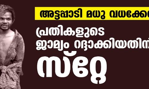 അട്ടപ്പാടി മധു വധക്കേസ്: പ്രതികളുടെ ജാമ്യം റദ്ദാക്കിയതിന് ഹൈക്കോടതി സ്‌റ്റേ