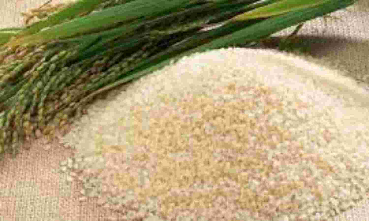 വയനാട്ടിലെ സിക്കിള് സെല് അനീമിയ, തലാസിയ രോഗബാധിതര്ക്ക് സംപുഷ്ടീകരിക്കാത്ത അരി വിതരണം ചെയ്യാന് നടപടി വയനാട്ടിലെ സിക്കിള് സെല് അനീമിയ, തലാസിയ രോഗബാധിതര്ക്ക് സംപുഷ്ടീകരിക്കാത്ത അരി വിതരണം ചെയ്യാന് നടപടി