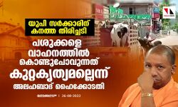 യുപി സര്‍ക്കാരിന് കനത്ത തിരിച്ചടി; പശുക്കളെ വാഹനത്തില്‍ കൊണ്ടുപോവുന്നത് കുറ്റകൃത്യമല്ലെന്ന് അലഹബാദ് ഹൈക്കോടതി