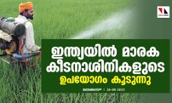 เดเดจเตเดคเตเดฏเดฏเดฟเตฝ เดฎเดพเดฐเด เดเตเดเดจเดพเดถเดฟเดจเดฟเดเดณเตเดเต เดเดชเดฏเตเดเด เดเตเดเตเดจเตเดจเต เดเดจเตเดคเตเดฏเดฏเดฟเตฝ เดฎเดพเดฐเด เดเตเดเดจเดพเดถเดฟเดจเดฟเดเดณเตเดเต เดเดชเดฏเตเดเด เดเตเดเตเดจเตเดจเต