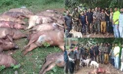 เดตเตเดฏเดพเดชเดเดฎเดพเดฏเดฟ เดเตเดทเดฟ เดจเดถเดฟเดชเตเดชเดฟเดเตเดเต; เดชเดเตเดเดพเดฎเตเดชเดฟเดฏเดฟเตฝ 19 เดเดพเดเตเดเตเดชเดจเตเดจเดฟเดเดณเต เดตเตเดเดฟเดตเดเตเดเต เดเตเดจเตเดจเต เดตเตเดฏเดพเดชเดเดฎเดพเดฏเดฟ เดเตเดทเดฟ เดจเดถเดฟเดชเตเดชเดฟเดเตเดเต; เดชเดเตเดเดพเดฎเตเดชเดฟเดฏเดฟเตฝ 19 เดเดพเดเตเดเตเดชเดจเตเดจเดฟเดเดณเต เดตเตเดเดฟเดตเดเตเดเต เดเตเดจเตเดจเต