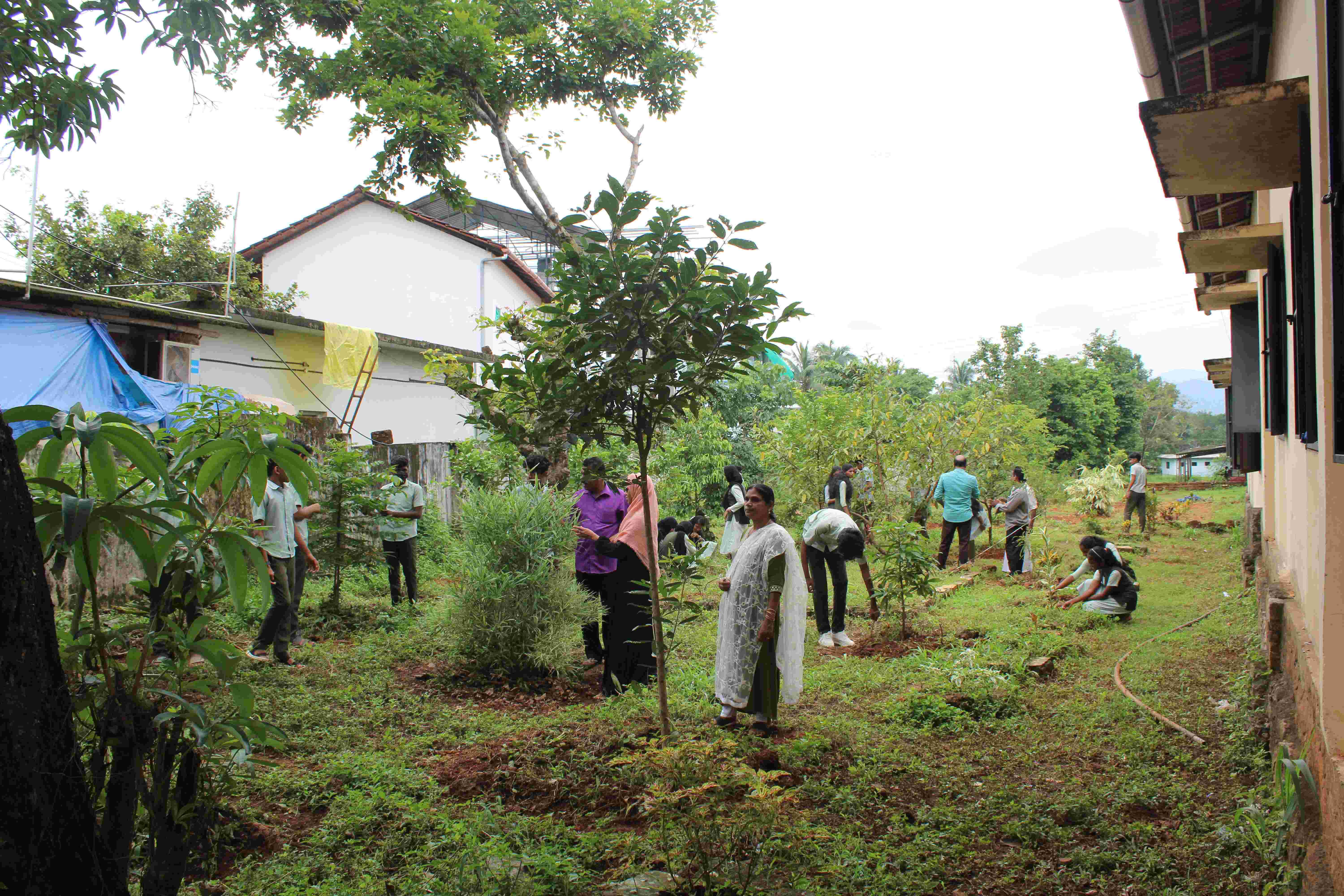 തരിശുഭൂമിയില് ജൈവവൈവിധ്യ ഉദ്യാനമൊരുക്കി സ്കൂള് അധ്യാപകന് തരിശുഭൂമിയില് ജൈവവൈവിധ്യ ഉദ്യാനമൊരുക്കി സ്കൂള് അധ്യാപകന്