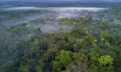 ബഫര്സോണ്: ഉപഗ്രഹ സര്വേയ്ക്ക് പുറമേ നേരിട്ടുള്ള പരിശോധന, വിദഗ്ധ സമിതി രൂപീകരിക്കും ബഫര്സോണ്: ഉപഗ്രഹ സര്വേയ്ക്ക് പുറമേ നേരിട്ടുള്ള പരിശോധന, വിദഗ്ധ സമിതി രൂപീകരിക്കും