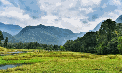 കരിയാത്തുംപാറ-തോണിക്കടവ് വിനോദസഞ്ചാര കേന്ദ്രത്തില് വിപുലമായ ഓണാഘോഷം കരിയാത്തുംപാറ-തോണിക്കടവ് വിനോദസഞ്ചാര കേന്ദ്രത്തില് വിപുലമായ ഓണാഘോഷം