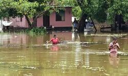 കുട്ടനാട് താലൂക്കില് വിദ്യാഭ്യാസ സ്ഥാപനങ്ങള്ക്ക് നാളെ അവധി കുട്ടനാട് താലൂക്കില് വിദ്യാഭ്യാസ സ്ഥാപനങ്ങള്ക്ക് നാളെ അവധി