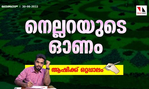 നെല്ലറയുടെ ഓണം