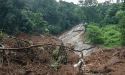 മലപ്പുറം പന്തല്ലൂര്‍ മലയില്‍ മലയിടിച്ചില്‍; റബര്‍ തോട്ടം ഒലിച്ചു പോയി