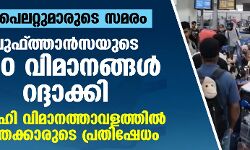 പൈലറ്റുമാരുടെ സമരം: ലുഫ്ത്താന്‍സയുടെ 800 വിമാനങ്ങള്‍ റദ്ദാക്കി; ഡല്‍ഹി വിമാനത്താവളത്തില്‍ യാത്രക്കാരുടെ പ്രതിഷേധം