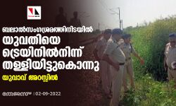 ബലാല്‍സംഗശ്രമത്തിനിടയില്‍ യുവതിയെ ട്രെയിനില്‍നിന്ന് തള്ളിയിട്ടുകൊന്നു; യുവാവ് അറസ്റ്റില്‍