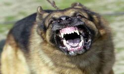 เดชเตเดตเดฟเดท เดฌเดพเดง;เดชเตเดฐเดคเดฟเดฐเตเดง เดเตเดคเตเดคเดฟเดตเดฏเตเดชเตเดชเต เดเดเตเดคเตเดคเดฟเดเตเดเตเด 12 เดเดพเดฐเดฟเดฏเตเดเต เดจเดฟเดฒ เดเตเดฐเตเดคเดฐเด เดชเตเดตเดฟเดท เดฌเดพเดง;เดชเตเดฐเดคเดฟเดฐเตเดง เดเตเดคเตเดคเดฟเดตเดฏเตเดชเตเดชเต เดเดเตเดคเตเดคเดฟเดเตเดเตเด 12 เดเดพเดฐเดฟเดฏเตเดเต เดจเดฟเดฒ เดเตเดฐเตเดคเดฐเด