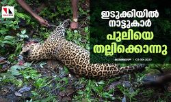 ഇടുക്കിയില് നാട്ടുകാര് പുലിയെ തല്ലിക്കൊന്നു ഇടുക്കിയില് നാട്ടുകാര് പുലിയെ തല്ലിക്കൊന്നു