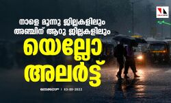 മഴ: നാളെ മൂന്നു ജില്ലകളിലും അഞ്ചിന് ആറു ജില്ലകളിലും യെല്ലോ അലര്‍ട്ട്