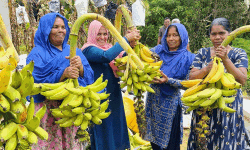 ചെങ്ങാലിക്കോടന് സ്പെഷ്യല് ഓണച്ചന്തയുമായി വരവൂര് ഗ്രാമപഞ്ചായത്ത് ചെങ്ങാലിക്കോടന് സ്പെഷ്യല് ഓണച്ചന്തയുമായി വരവൂര് ഗ്രാമപഞ്ചായത്ത്