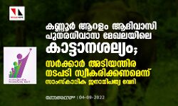 കണ്ണൂര്‍ ആറളം ആദിവാസി പുനരധിവാസ മേഖലയിലെ കാട്ടാനശല്യം;   സര്‍ക്കാര്‍ അടിയന്തിര നടപടി സ്വീകരിക്കണമെന്ന് സാംസ്‌കാരിക ജനാധിപത്യ വേദി