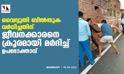 വൈദ്യുതി ബില്‍തുക വര്‍ധിച്ചതിന് ജീവനക്കാരനെ ക്രൂരമായി മര്‍ദിച്ച് ഉപഭോക്താവ് (വീഡിയോ)