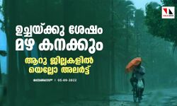 ഉച്ചയ്ക്കു ശേഷം മഴ കനക്കും; ആറു ജില്ലകളില്‍ യെല്ലോ അലര്‍ട്ട്