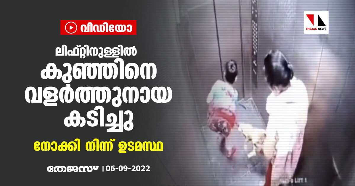 ലിഫ്റ്റിനുള്ളില്‍ കുഞ്ഞിനെ വളര്‍ത്തുനായ കടിച്ചു; നോക്കി നിന്ന് ഉടമസ്ഥ (വീഡിയോ)