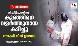 ലിഫ്റ്റിനുള്ളില്‍ കുഞ്ഞിനെ വളര്‍ത്തുനായ കടിച്ചു; നോക്കി നിന്ന് ഉടമസ്ഥ (വീഡിയോ)