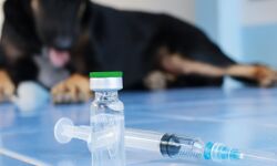 വാക്‌സിന്റെ ഗുണനിലവാരം വീണ്ടും പരിശോധിക്കണം: കേന്ദ്ര ആരോഗ്യ മന്ത്രിക്ക് മന്ത്രി വീണാ ജോര്‍ജ് കത്തയച്ചു