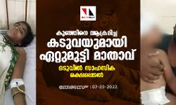 കുഞ്ഞിനെ ആക്രമിച്ച കടുവയുമായി ഏറ്റുമുട്ടി മാതാവ്; ഒടുവില്‍ സാഹസിക രക്ഷപ്പെടല്‍