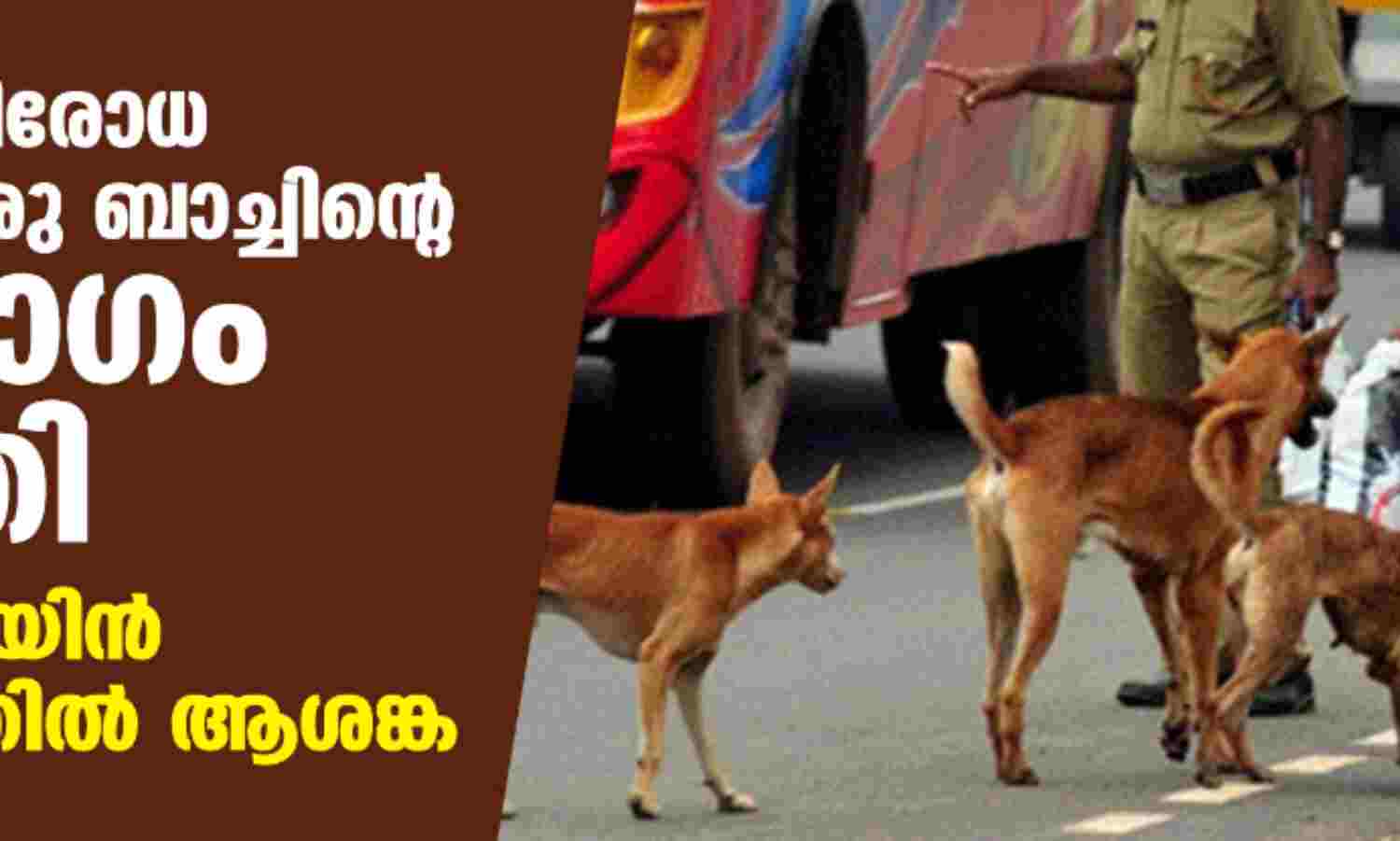പേവിഷ പ്രതിരോധ വാക്സീന് ഒരു ബാച്ചിന്റെ ഉപയോഗം നിര്ത്തി; കോള്ഡ് ചെയിന് സംവിധാനത്തില് ആശങ്ക പേവിഷ പ്രതിരോധ വാക്സീന് ഒരു ബാച്ചിന്റെ ഉപയോഗം നിര്ത്തി; കോള്ഡ് ചെയിന് സംവിധാനത്തില് ആശങ്ക