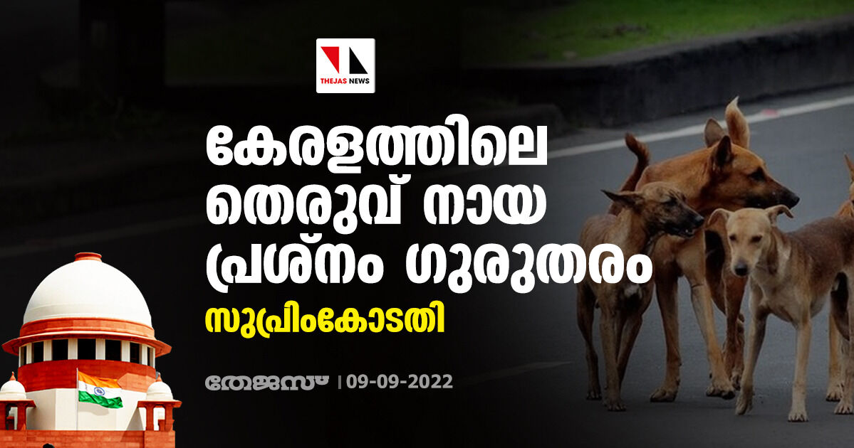 കേരളത്തിലെ തെരുവ് നായ പ്രശ്‌നം ഗുരുതരം: സുപ്രിംകോടതി