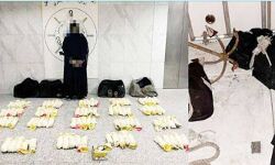 കടല്‍മാര്‍ഗം കുവൈത്തിലേക്ക് ലഹരിമരുന്ന് കടത്താന്‍ ശ്രമിച്ച സ്ത്രീ അറസ്റ്റില്‍