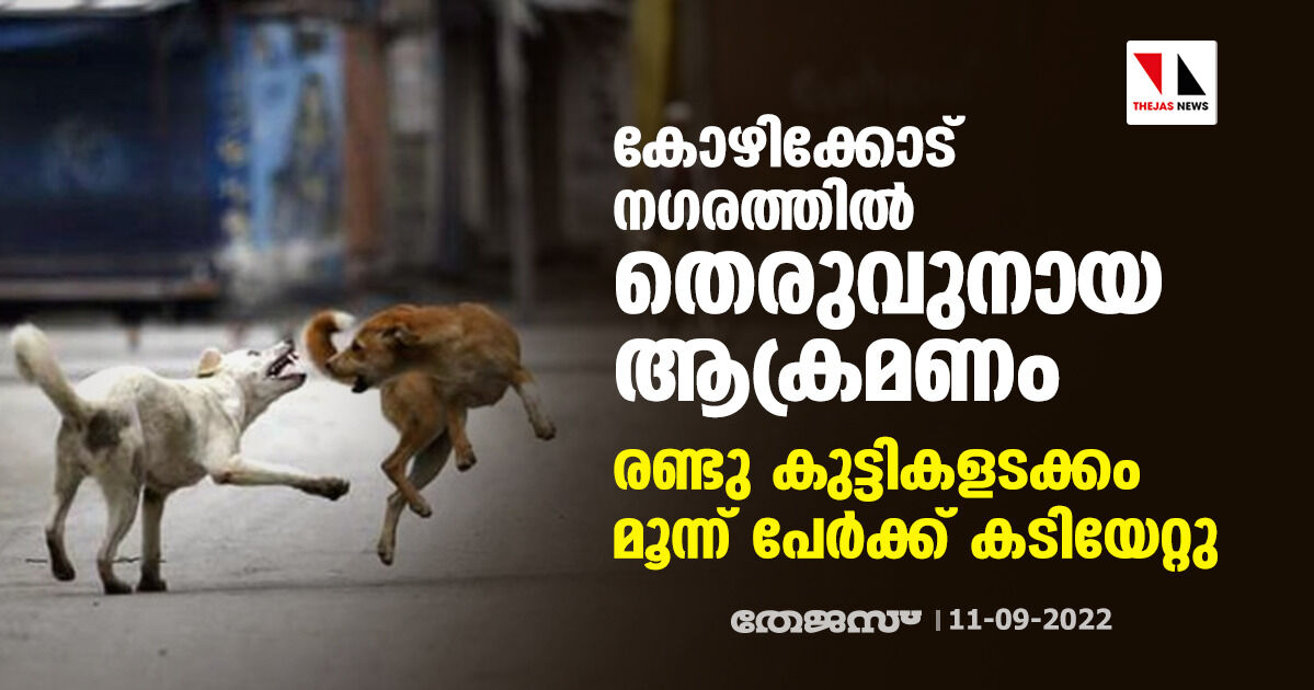 കോഴിക്കോട് നഗരത്തിൽ തെരുവുനായ ആക്രമണം; രണ്ടു കുട്ടികളടക്കം മൂന്ന് പേര്ക്ക് കടിയേറ്റു കോഴിക്കോട് നഗരത്തിൽ തെരുവുനായ ആക്രമണം; രണ്ടു കുട്ടികളടക്കം മൂന്ന് പേര്ക്ക് കടിയേറ്റു