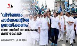 വിഴിഞ്ഞം പാര്‍ലമെന്റില്‍ ഉന്നയിക്കണം; സമര സമിതി നേതാക്കളെ കണ്ട് രാഹുല്‍