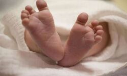 കുറ്റിക്കാട്ടില്‍ ഉപേക്ഷിച്ച ചോരക്കുഞ്ഞ് തന്റേതുതന്നെ; സമ്മതിച്ച് യുവതി