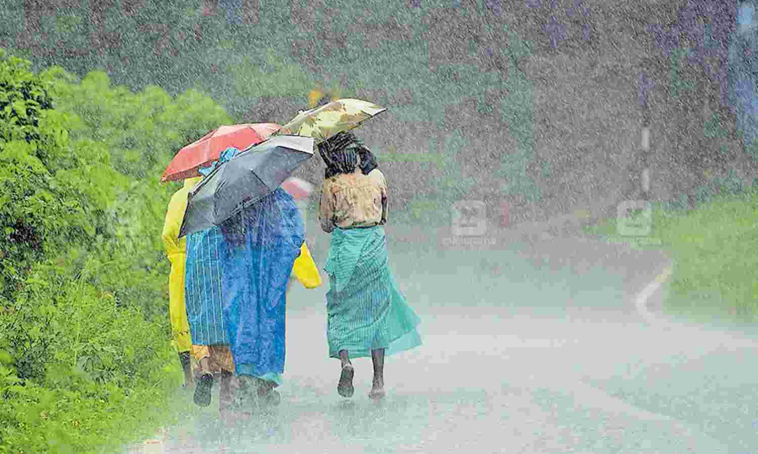 സംസ്ഥാനത്ത് ഒന്പത് ജില്ലകളില് അടുത്ത മൂന്ന് മണിക്കൂറിലേക്കുള്ള മഴ സംസ്ഥാനത്ത് ഒന്പത് ജില്ലകളില് അടുത്ത മൂന്ന് മണിക്കൂറിലേക്കുള്ള മഴ