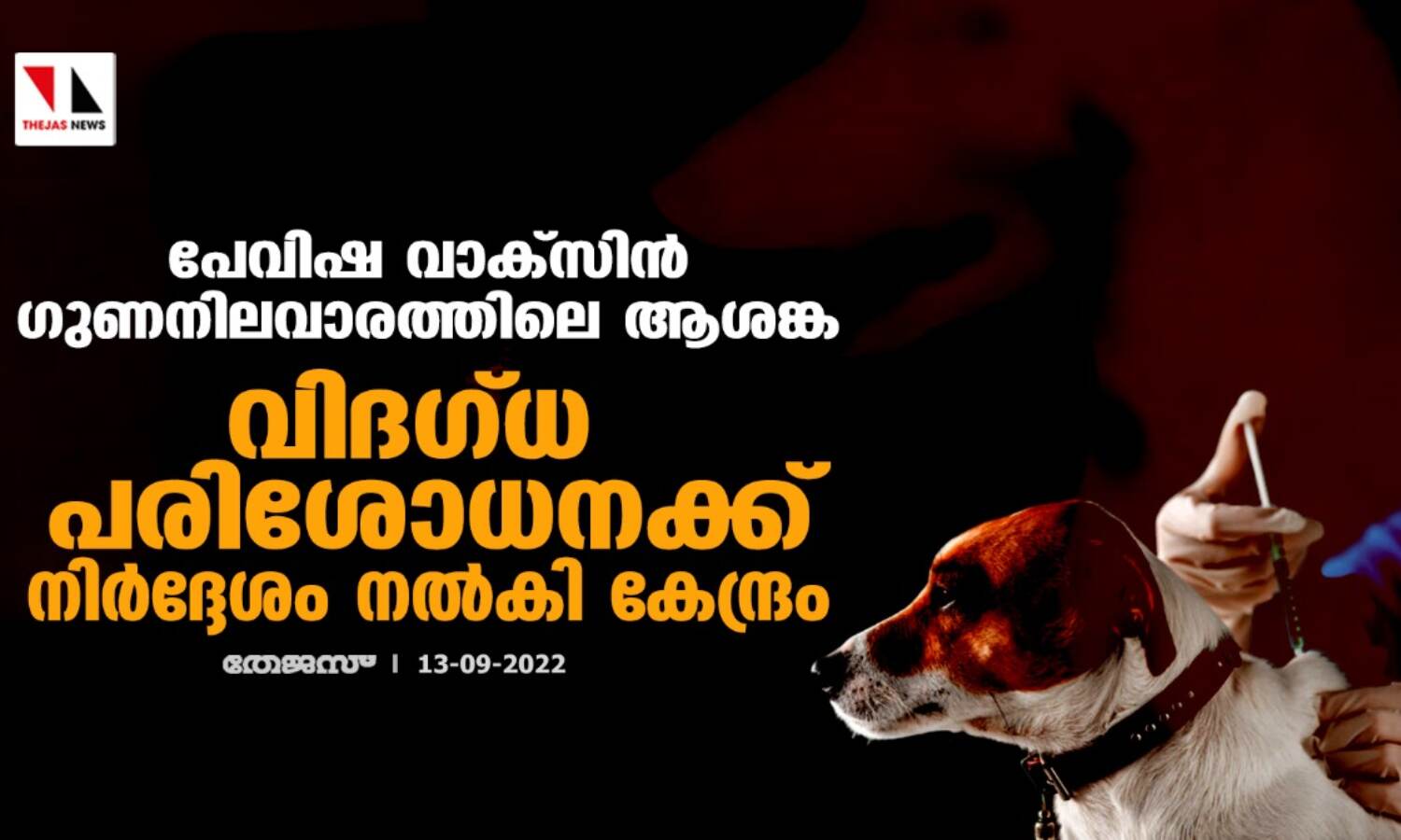 പേവിഷ വാക്സിന് ഗുണനിലവാരത്തിലെ ആശങ്ക;വിദഗ്ധ പരിശോധനക്ക് നിര്ദ്ദേശം നല്കി കേന്ദ്രം പേവിഷ വാക്സിന് ഗുണനിലവാരത്തിലെ ആശങ്ക;വിദഗ്ധ പരിശോധനക്ക് നിര്ദ്ദേശം നല്കി കേന്ദ്രം